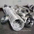 SAE1008 Electro/Hot Dipped Galvanized Iron Wire